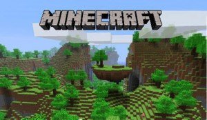 minecraft 1